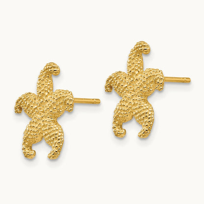 Starfish Post Earrings — photo set