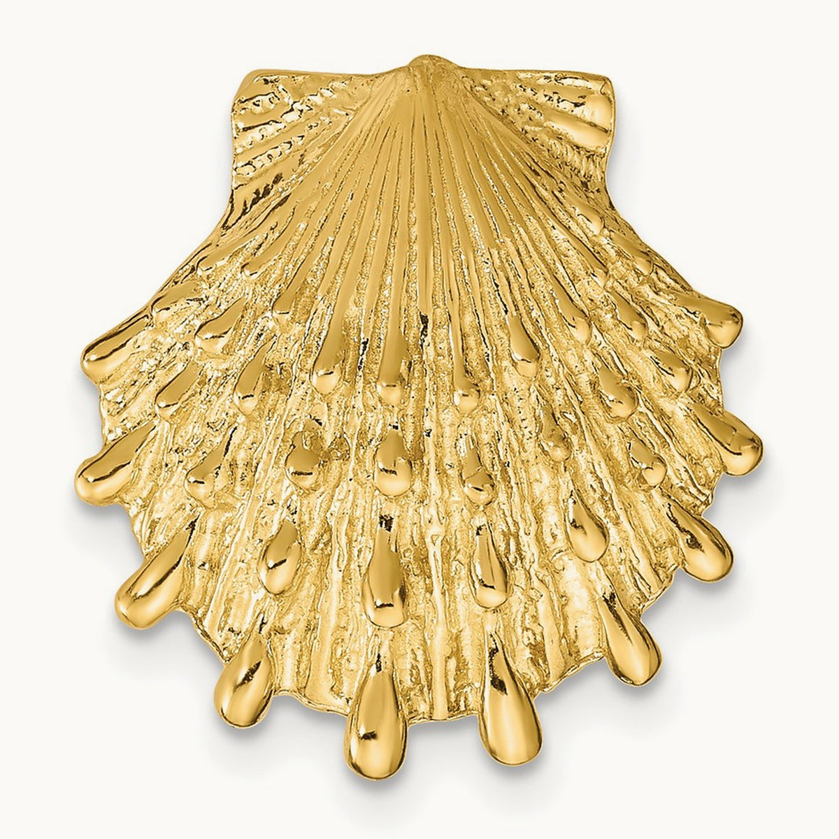 Lion's Paw Shell Slide, 14K