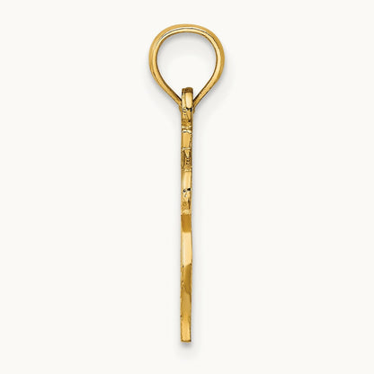 Dollar Sign Charm, 14K