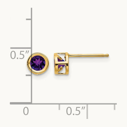 Bezel February/Amethyst Post Earrings — 14K Yellow Gold