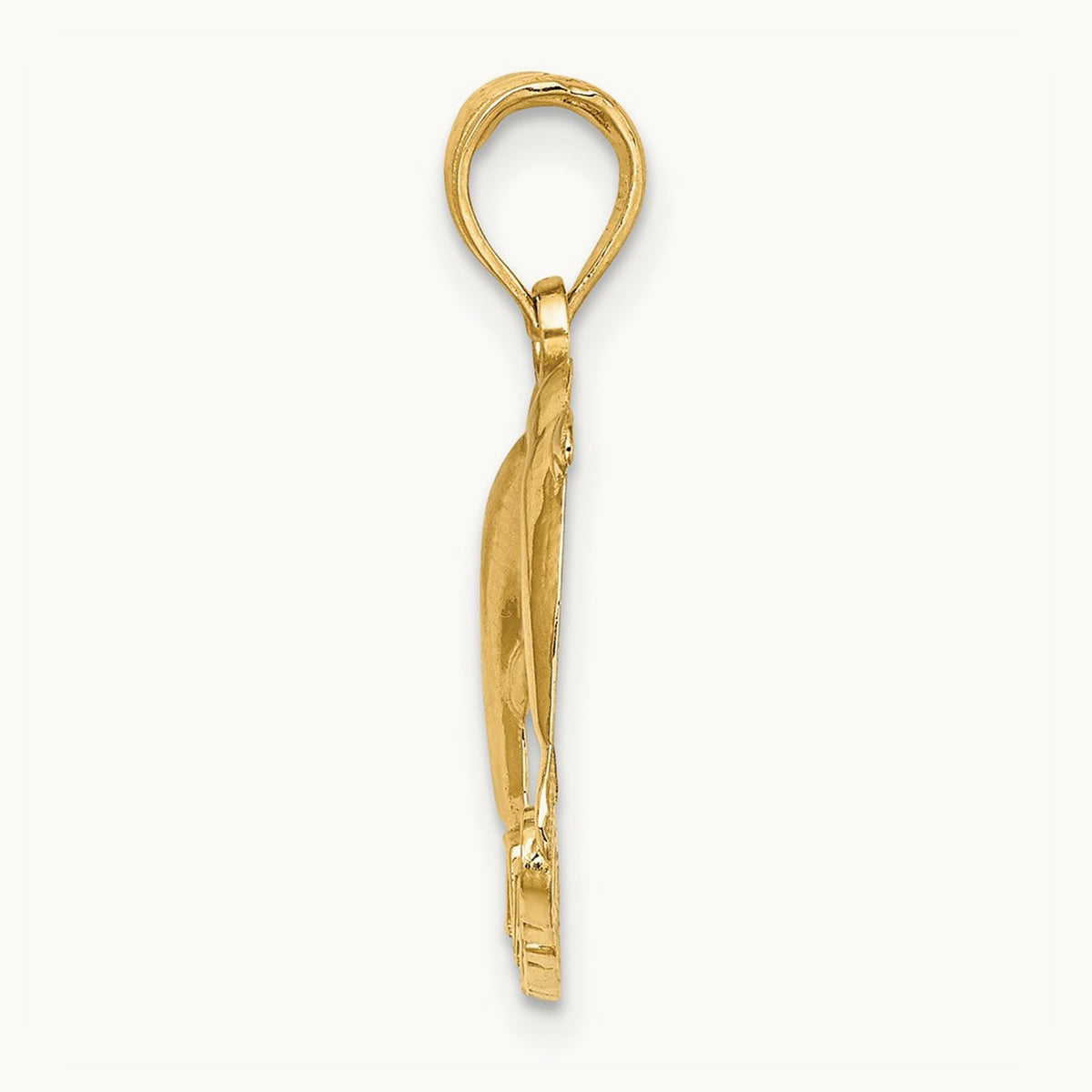 Polished NAGS HEAD w/ Jumping Dolphins Charm, 14K