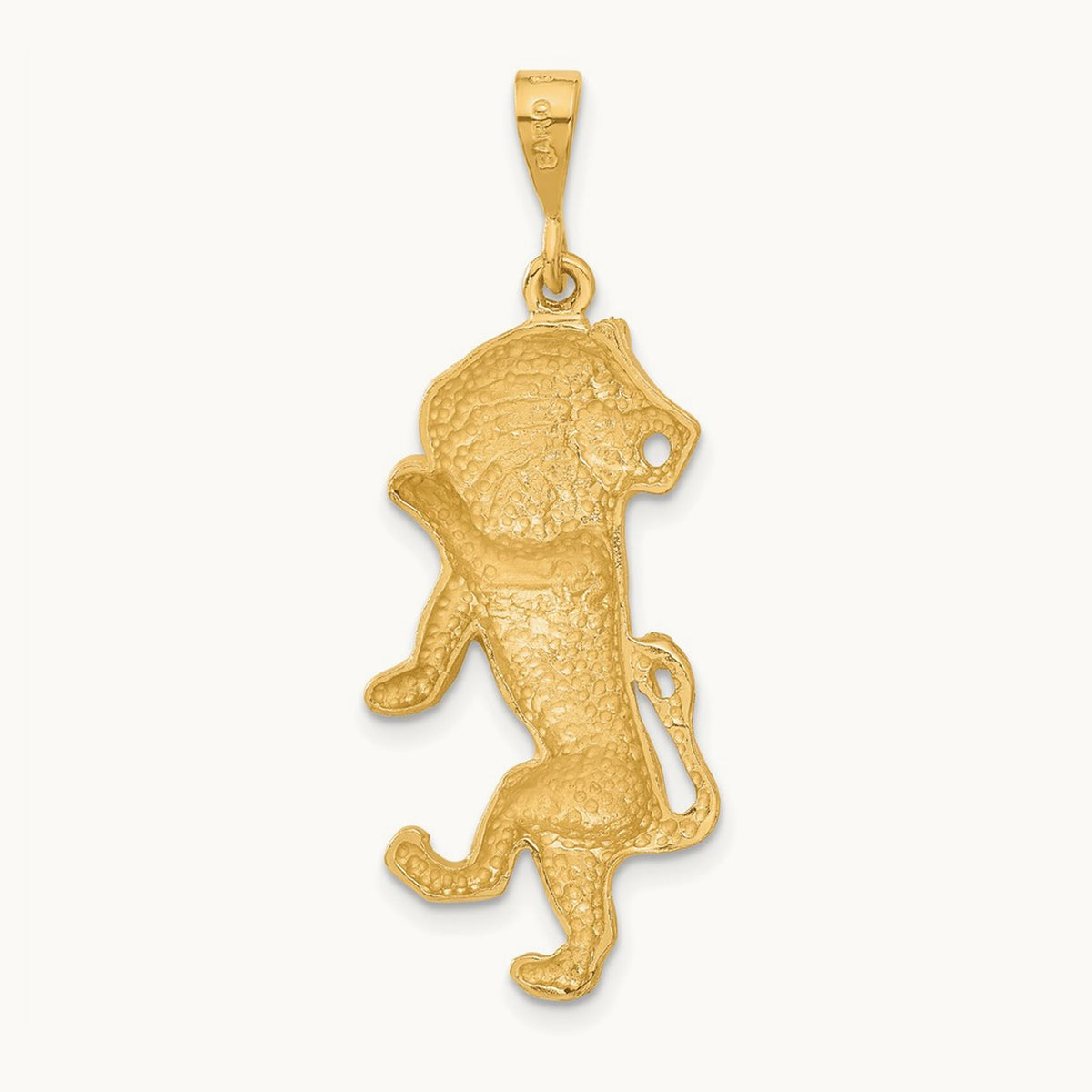Satin Diamond-cut Leo Zodiac Charm — photo set