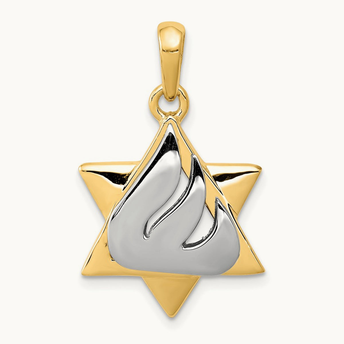 Star of David Pendant, 14K Two-tone