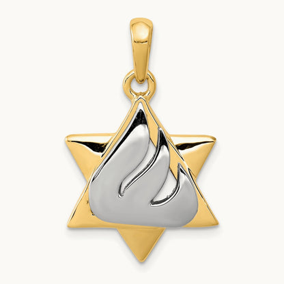 Star of David Pendant, 14K Two-tone