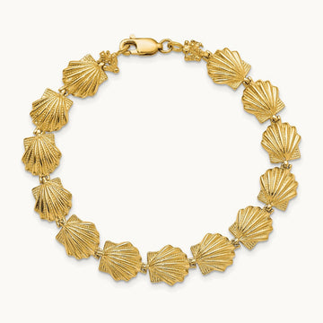 Scallop Shell Bracelet, 14K