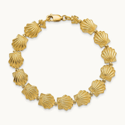 Scallop Shell Bracelet, 14K