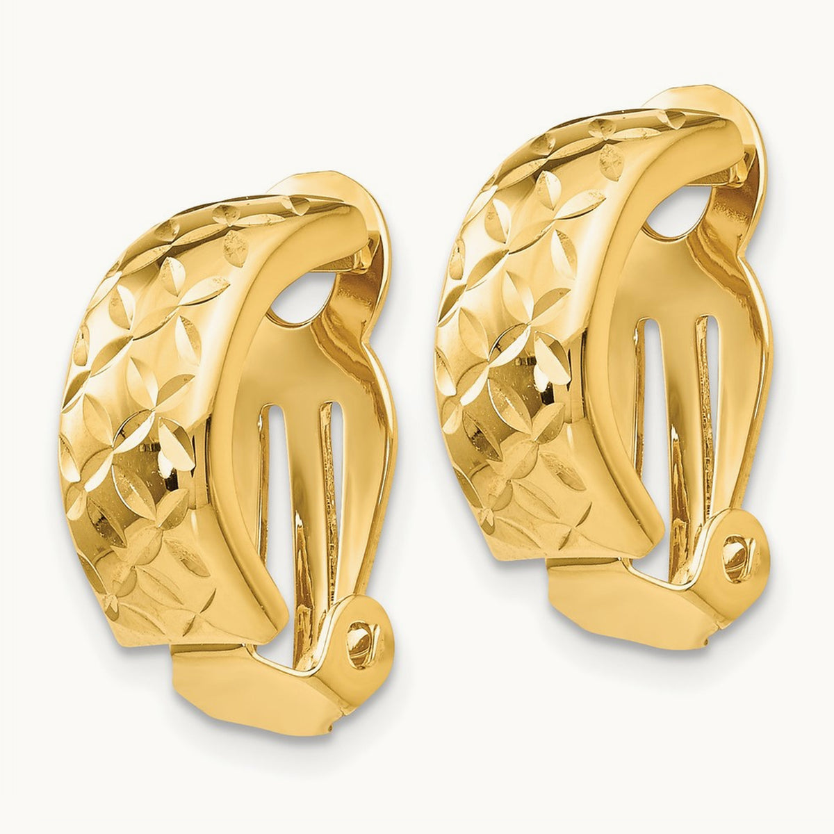 Non-Pierced Earrings — photo set
