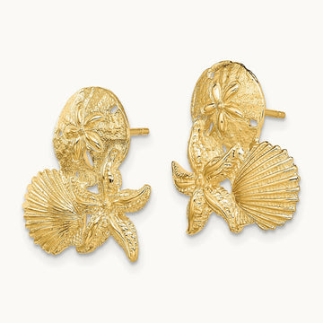 Sand Dollar, Starfish, ,Scallop Cluster Post Earrings, 14K