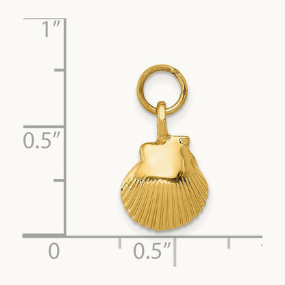 Seashell Pendant, 14K