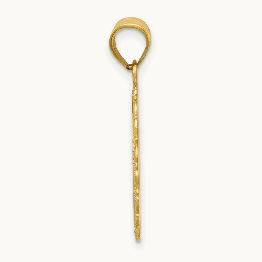 Solid Satin Polished Aries Zodiac Oval Pendant, 14K