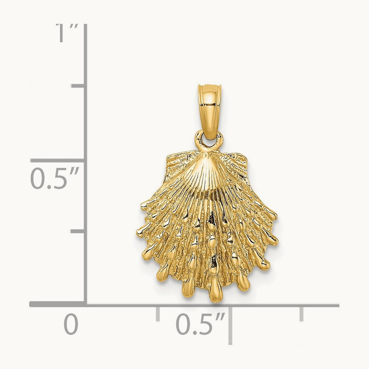 Lion's Paw Shell Charm, 14K