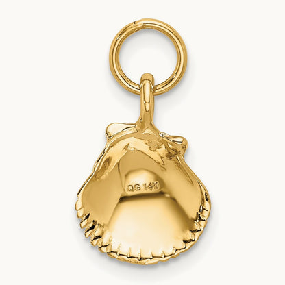Seashell Pendant, 14K