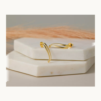w/ Polished Curve Post Earrings — Leslie's — 14K Yellow Gold