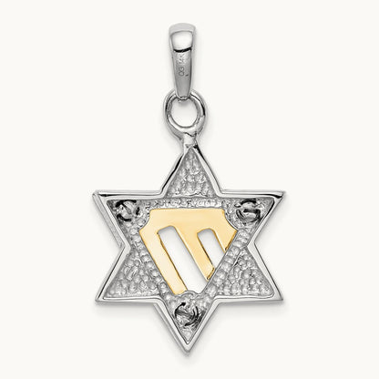 Star of David Pendant, 14K Two-tone