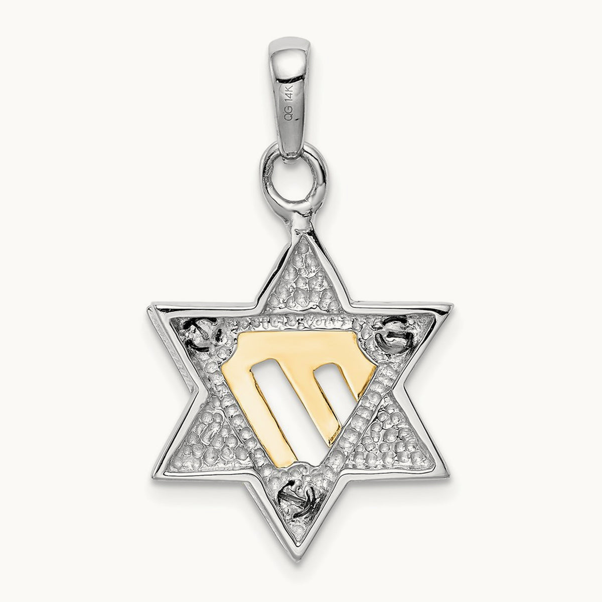 Star of David Pendant, 14K Two-tone