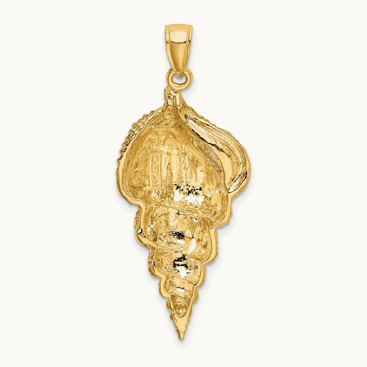 Wentletrap Shell Charm — photo set