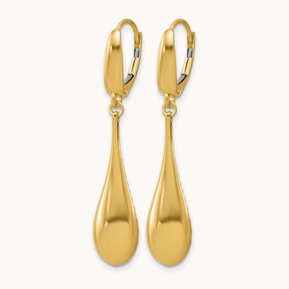 Polished Teardrop Dangle Leverback Earrings — Leslie's — photo set