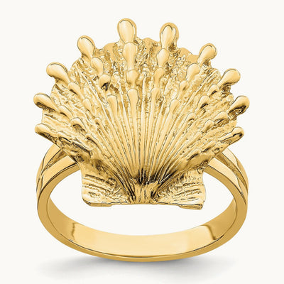 Lion's Paw Shell Ring, 14K