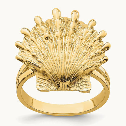 Lion's Paw Shell Ring, 14K