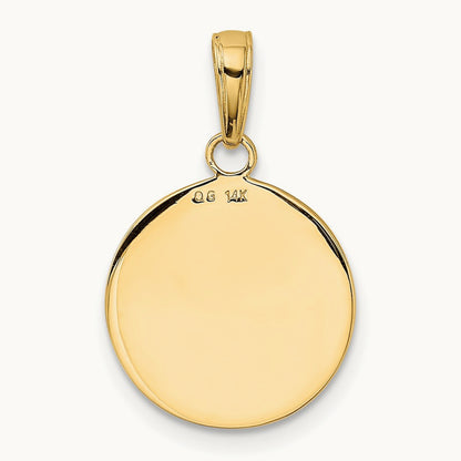 Satin And Polished Saint Francis Medal Pendant, 14K Gold