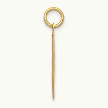 Labrador Retriever Disc Charm, 14K