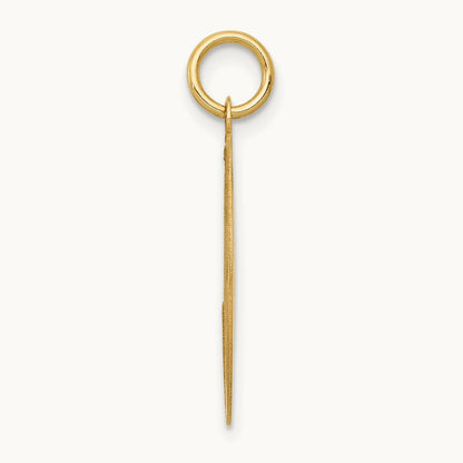 Labrador Retriever Disc Charm, 14K
