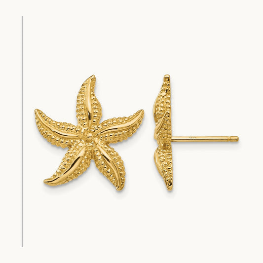 Starfish Post Earrings — photo set