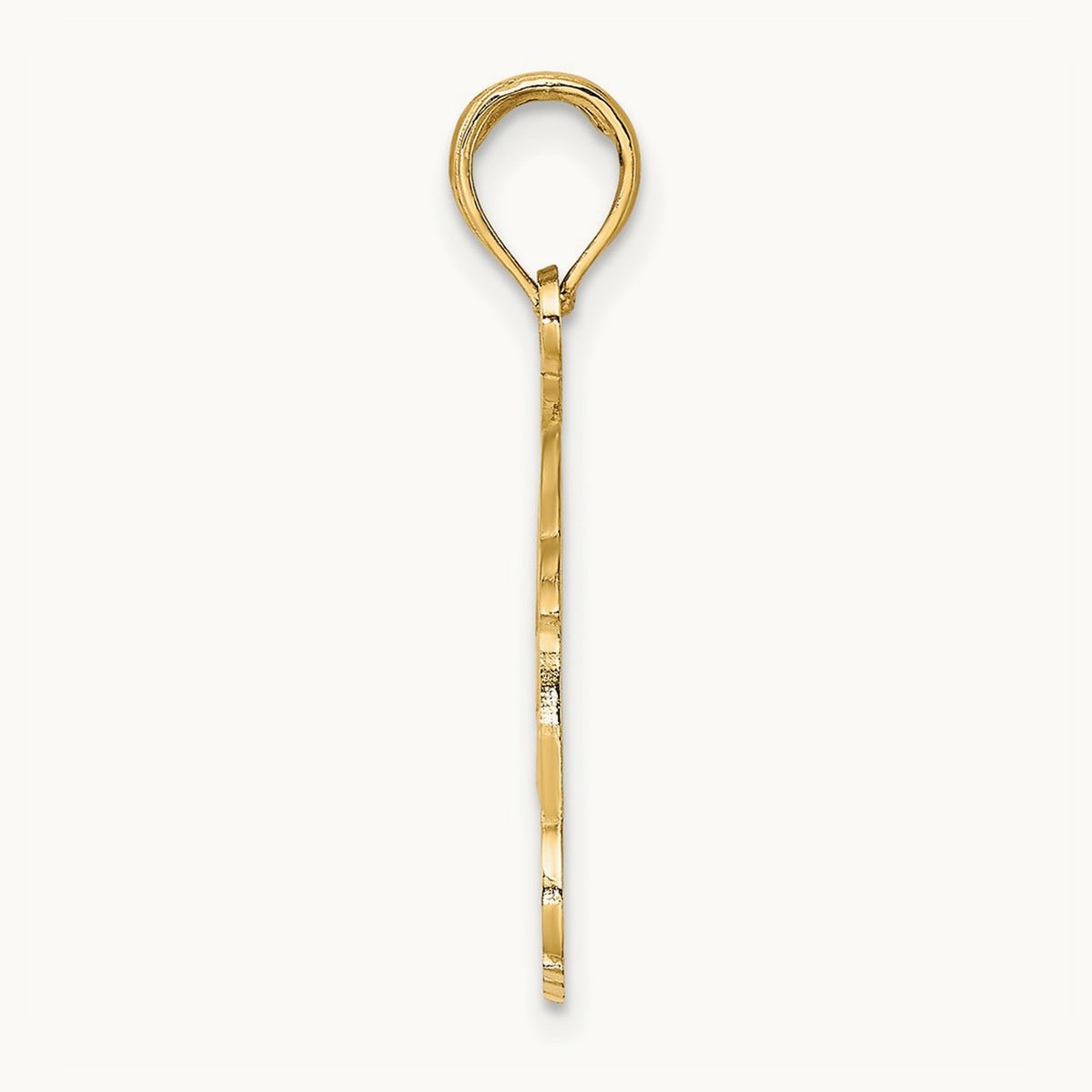 NAPLES FLORIDA Jumping Dolphins Charm, 14K