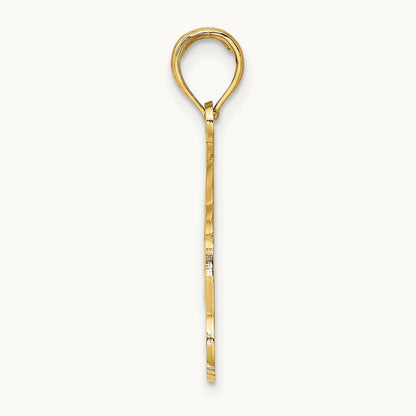 NAPLES FLORIDA Jumping Dolphins Charm, 14K