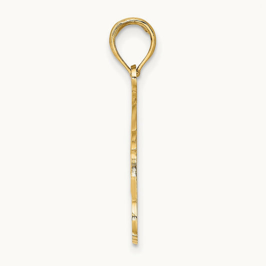 NAPLES FLORIDA Jumping Dolphins Charm, 14K