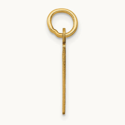 Small Elongated Number 9 Charm, 14K