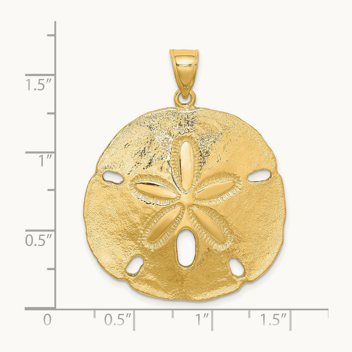 Polished Sand Dollar Charm — 14K Yellow Gold, 40mm