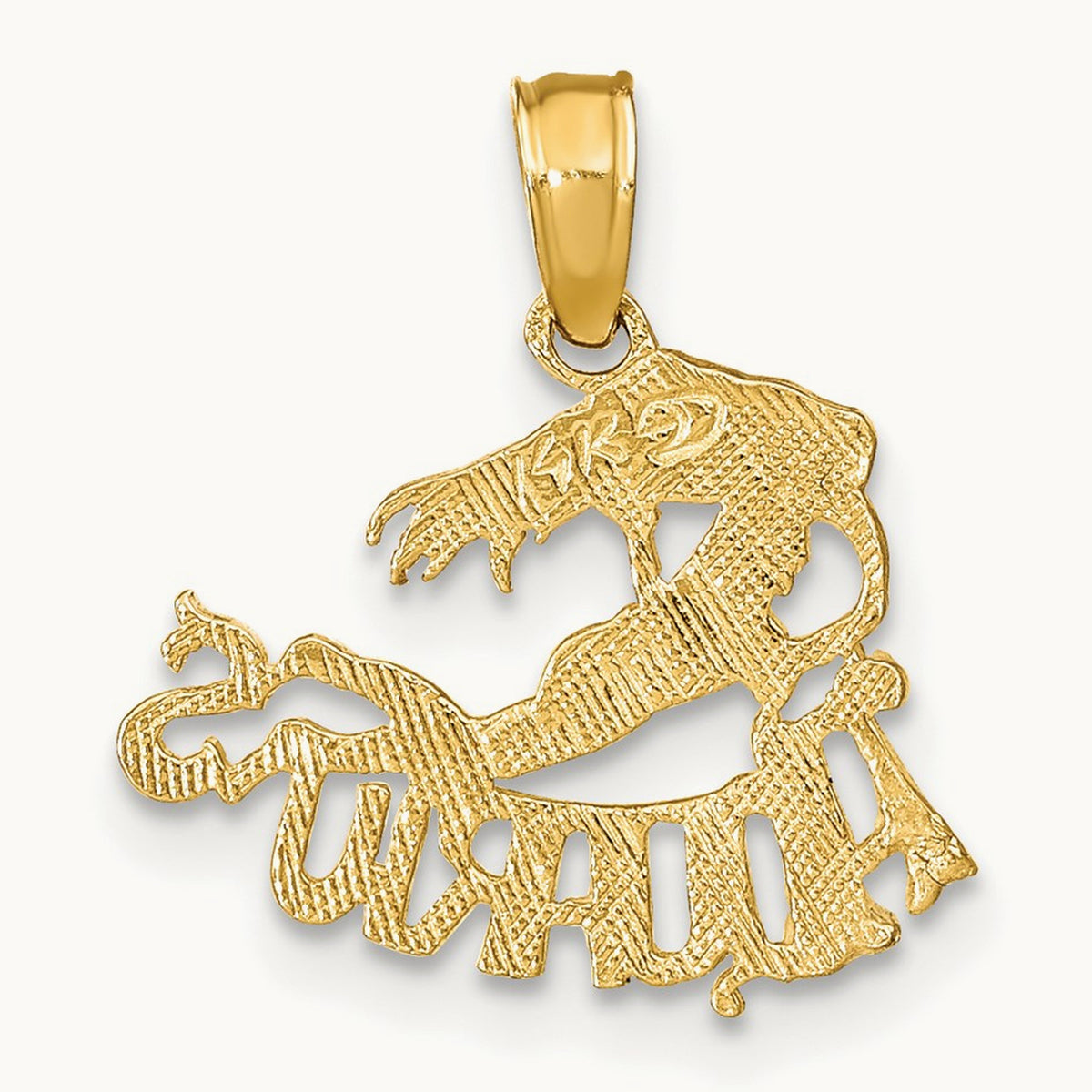 AQUARIUS Zodiac Charm in 14K Yellow Gold