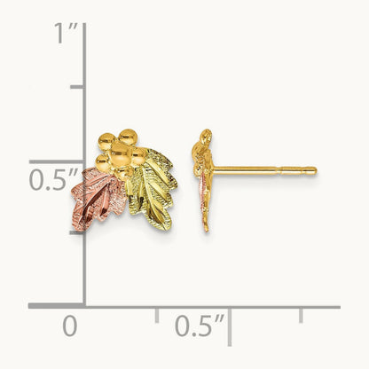 Black Hills Gold Post Earrings