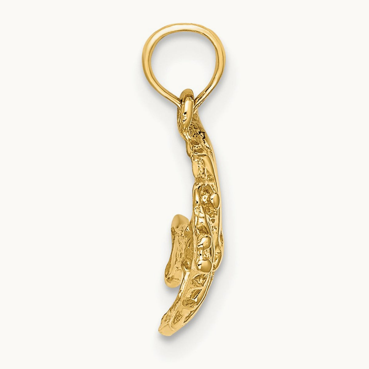 Polished Engraved FISH Charm — photo set