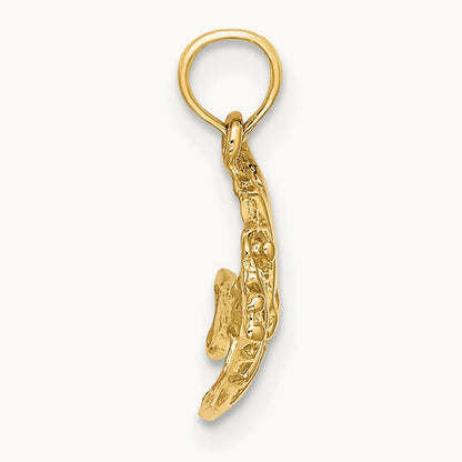 Polished Engraved FISH Charm — photo set