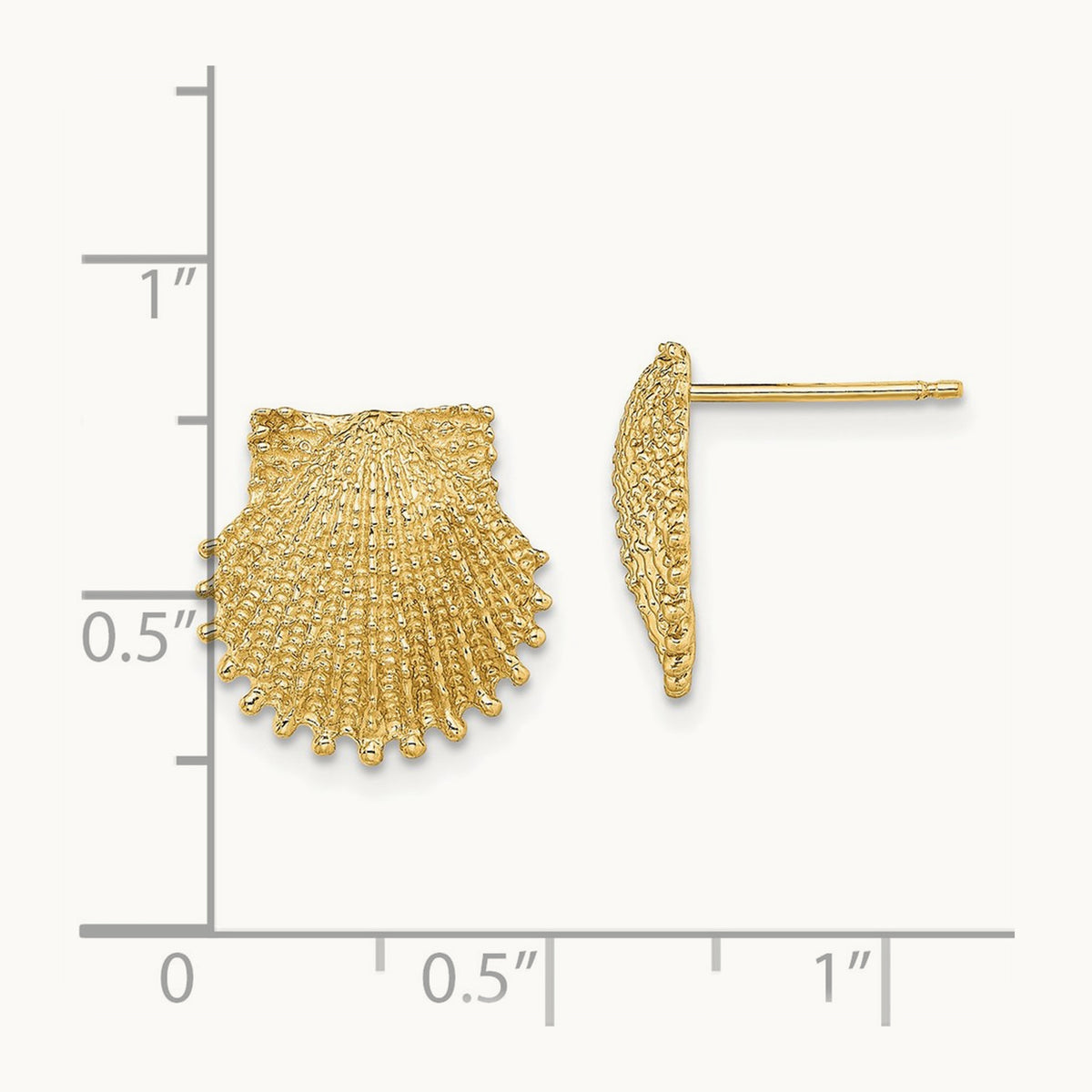 Beaded Scallop Shell Post Earrings, 14K