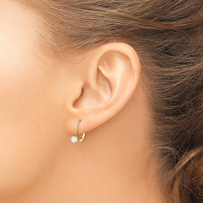 Round October/Opal Leverback Earrings — 14K Yellow Gold