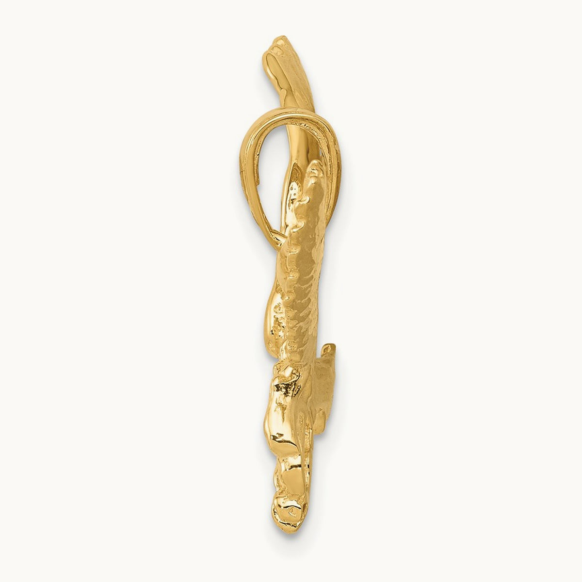 Solid Polished Eagle Pendant — photo set