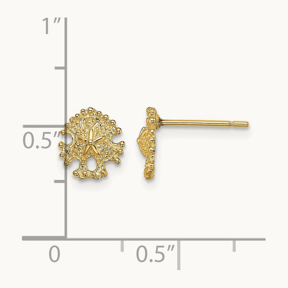 Mini Sand Dollar Post Earrings, 14K