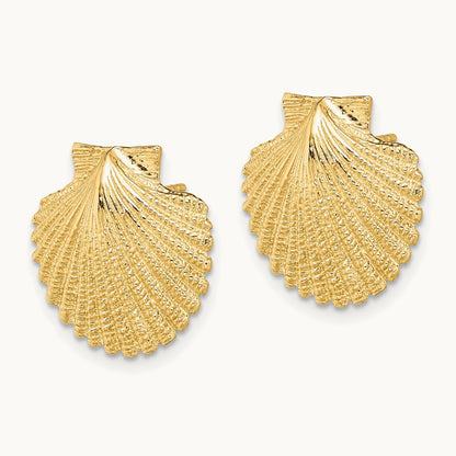 2-D Textured Scallop Shell Post Earrings, 14K
