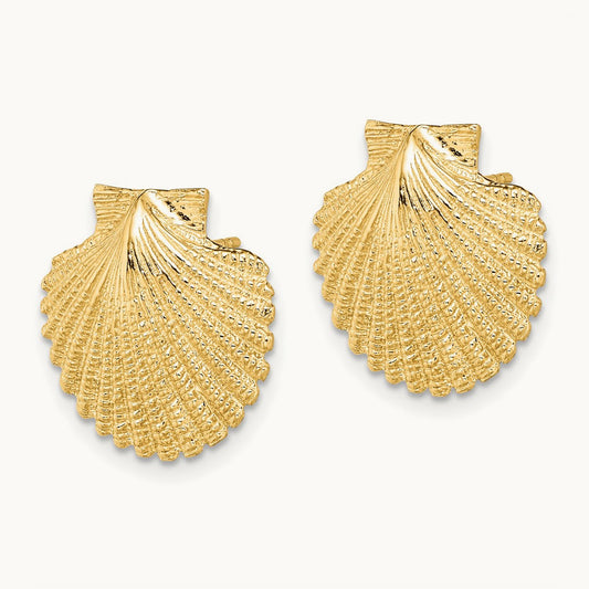 2-D Textured Scallop Shell Post Earrings, 14K