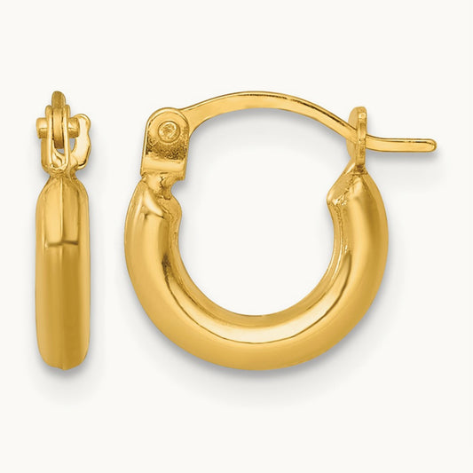 Polished Hoop Earrings — photo set
