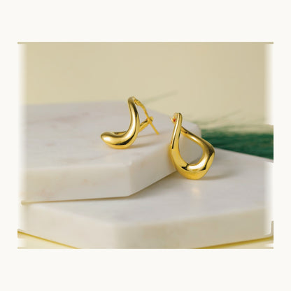 Polished Twist Hoop Earrings — Leslie's — photo set