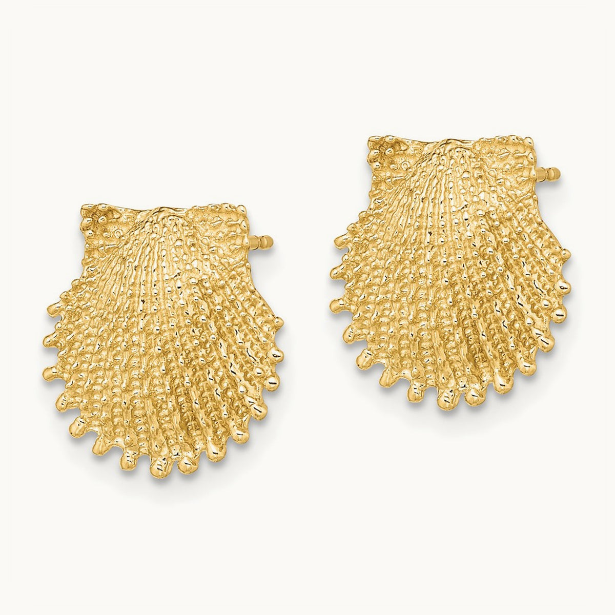 Beaded Scallop Shell Post Earrings, 14K
