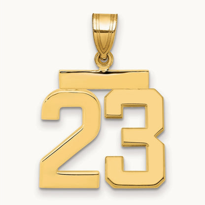 Medium Polished Number 23 Charm, 14K