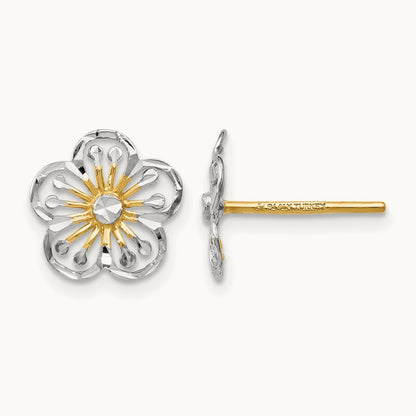 w/ Polished and D/C Post Earrings — Leslie's — photo set