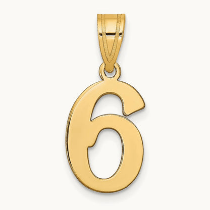 Polished Number 6 Pendant — photo set
