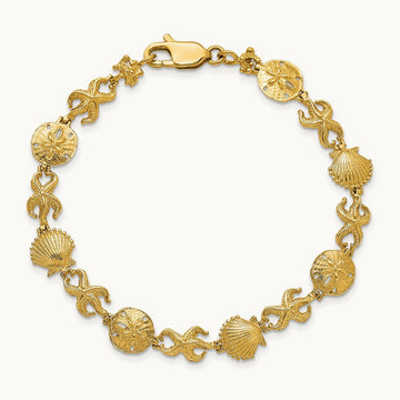 Shell, Sand Dollar, Starfish Bracelet, 14K