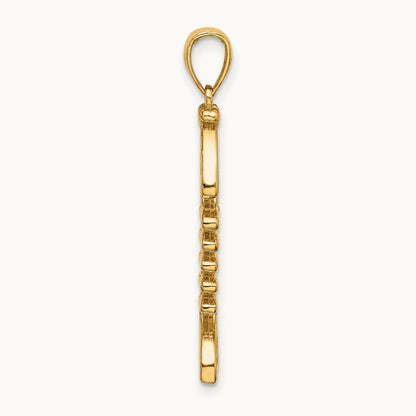 3-D Polished/ Textured Fishbone Charm, 14K